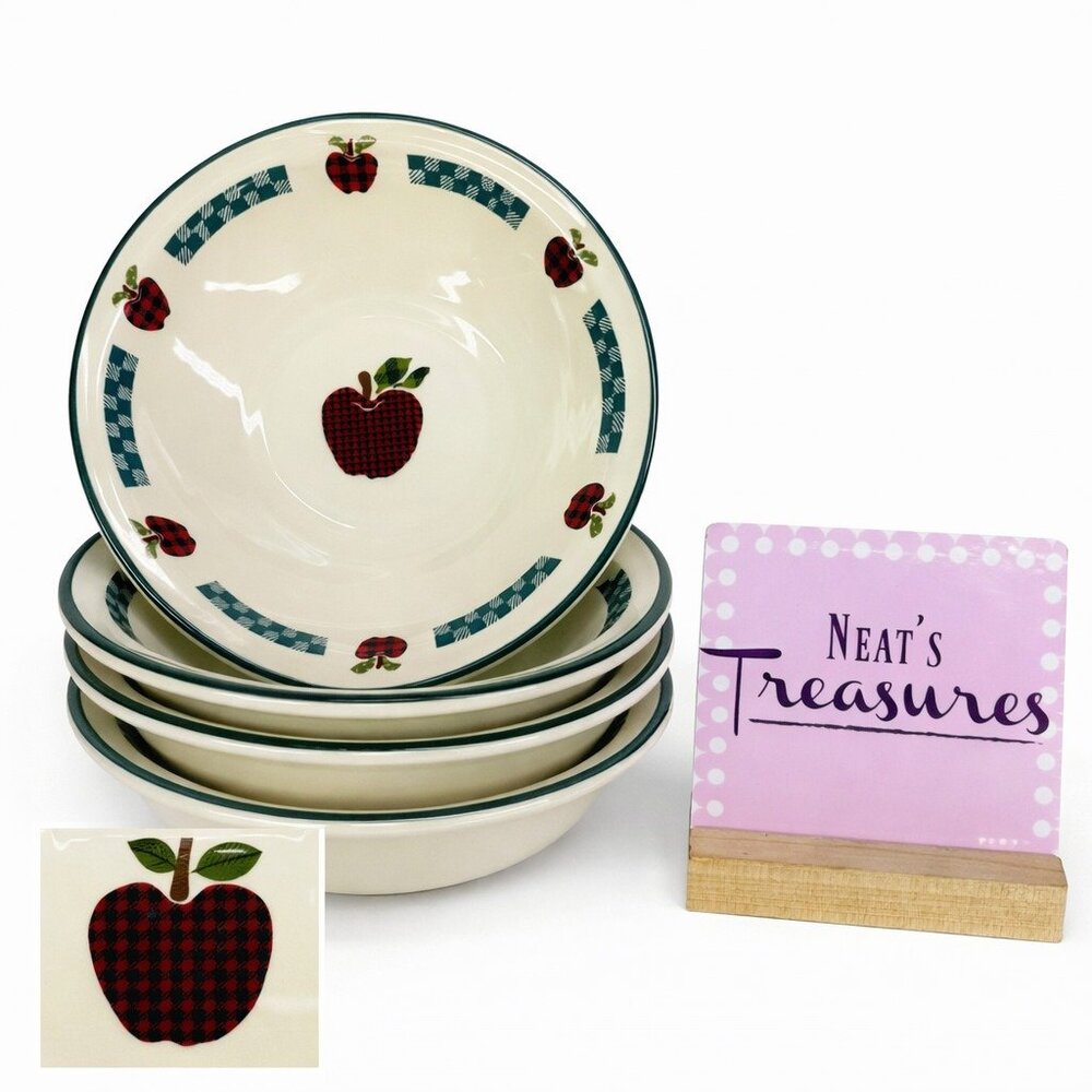 International China APPLEJACK Gingham Apples Stoneware Soup Cereal Bowls  Set 4